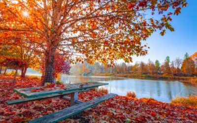Is “Autumn Anxiety” Real?  Why You Feel Anxious When Summer Ends
